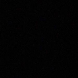 Meet your Posher, Phillip